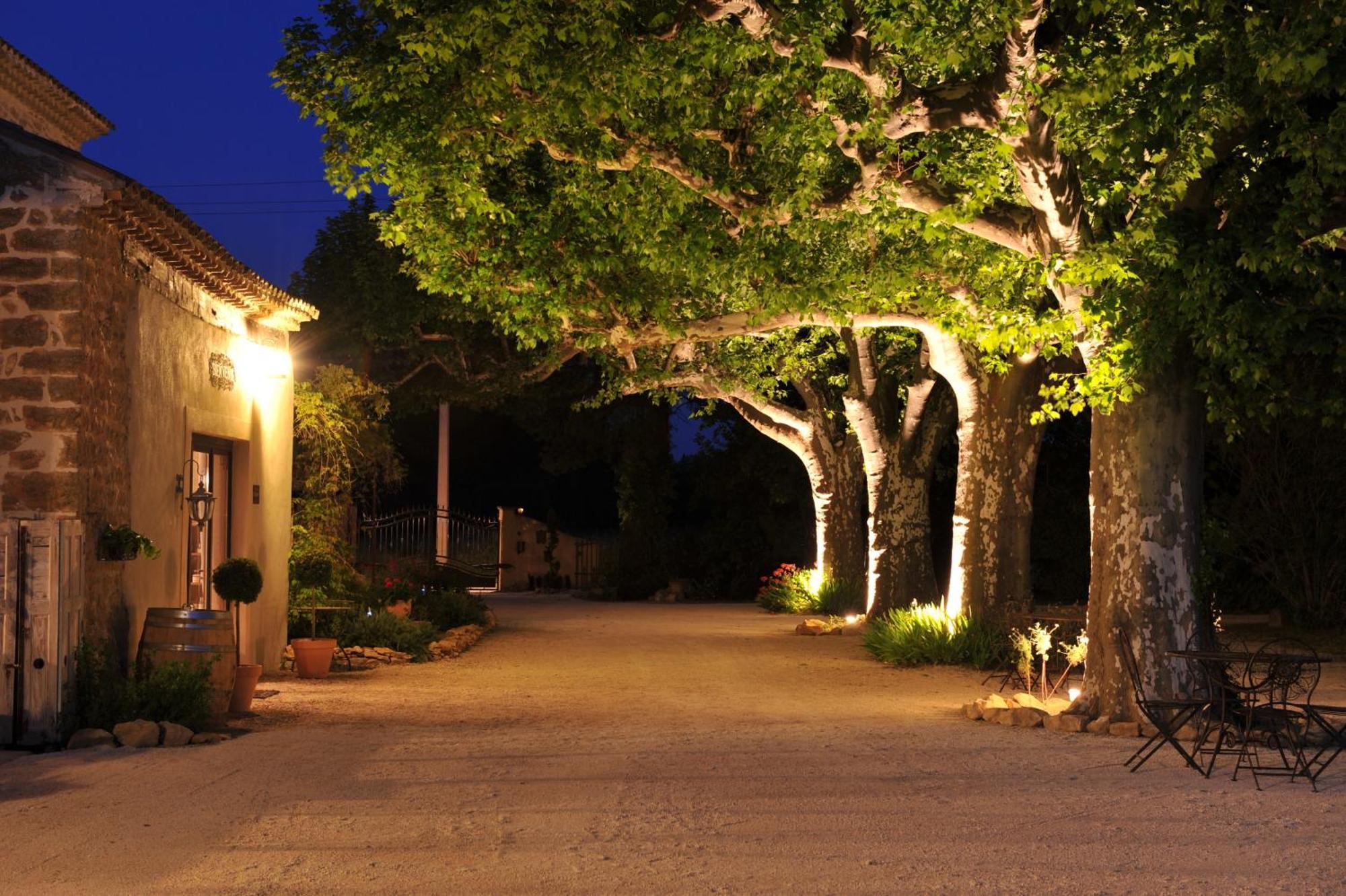 Terre Des Anges